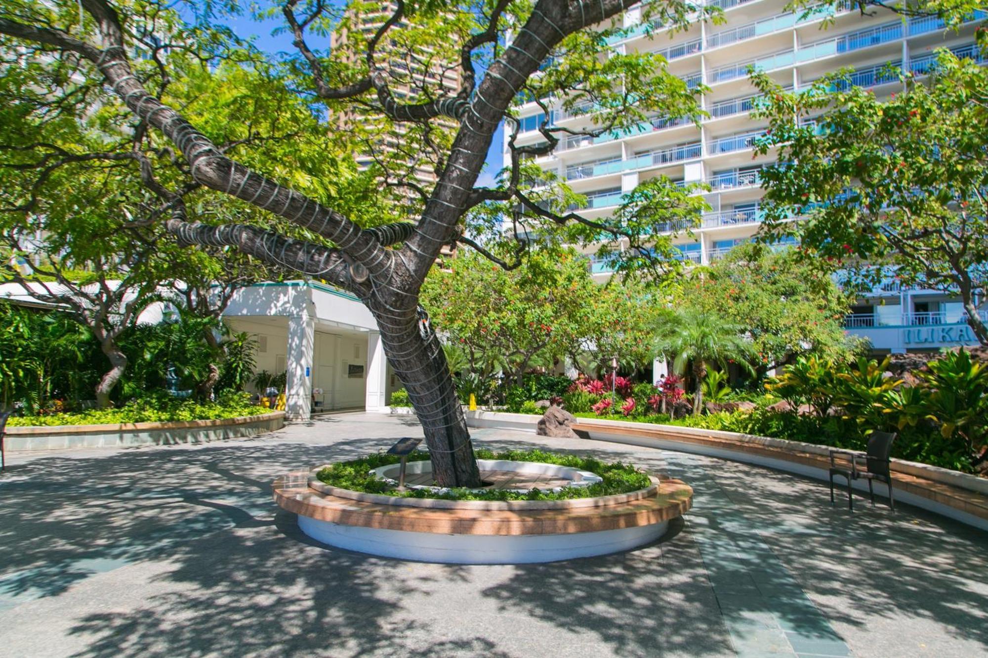 Ilikai Tower 420 Lagoon View 1Br 檀香山 外观 照片